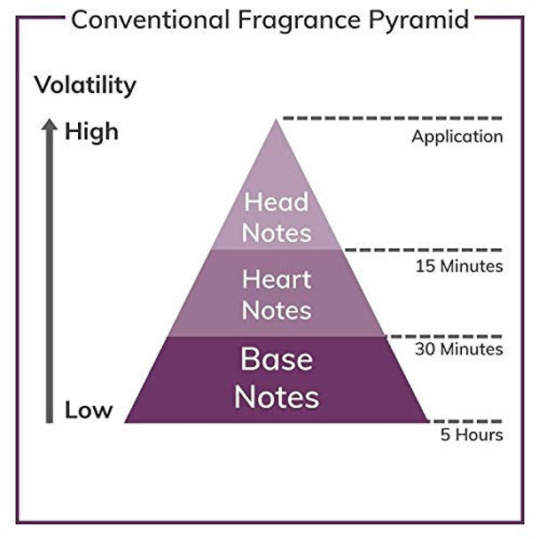 Antonio Banderas Black Seduction For Men 6.8 Oz Eau De Toilette Spray Antonio Banderas Black Seduction For Men 6.8 Oz Eau De Toilette Spray