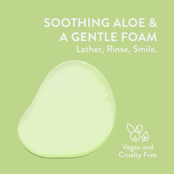 Native Sensitive Face Wash Spa Day Every Day Facial Cleanswer (2 Pack) | Daily Face Cleanerwith Aloe And Vitamin B3 Unscented 12 Fl Oz