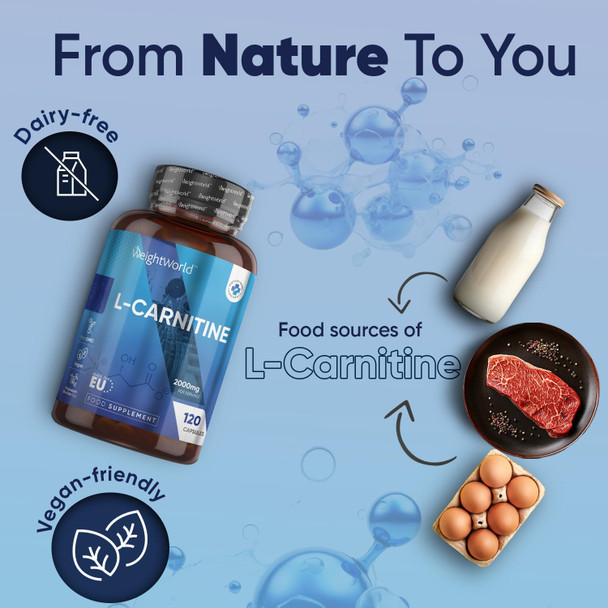 ‎Weightworld L Carnitine Capsules 2000mg (666mg per Capsule) | High Performance L-Carnitine Supplement for Pre & Post Workout | Non-GMO & Vegan L Carnitine Tartrate for Energy