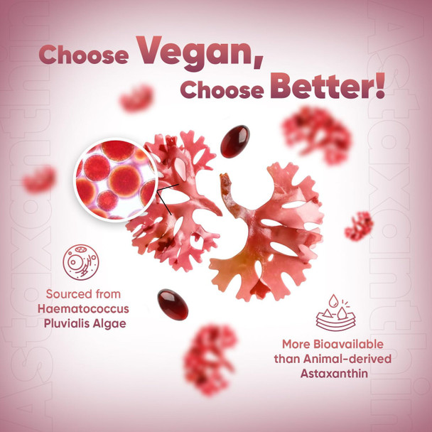 ‎Weightworld Vegan Astaxanthin Supplements - High Strength 18mg - 8 Months Supply (240 Softgels) - Natural & Active Astaxanthin from Haematococcus Pluvialis Algae - Allergen- & Highly Bioavailable