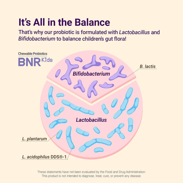 Acebiome Bnr Kids Probiotic Metabolism Support Immune Support Maintain Healthy Bone Berry Flavors Chewable 60 Serving (180 Tablet)…