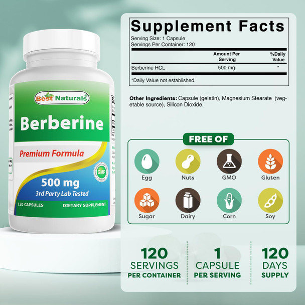 Best Naturals Berberine 500mg 120 Capsules - Supports Immune Function Cardiovascular & Gastrointestinal Function (120 Count (Pack of 1))
