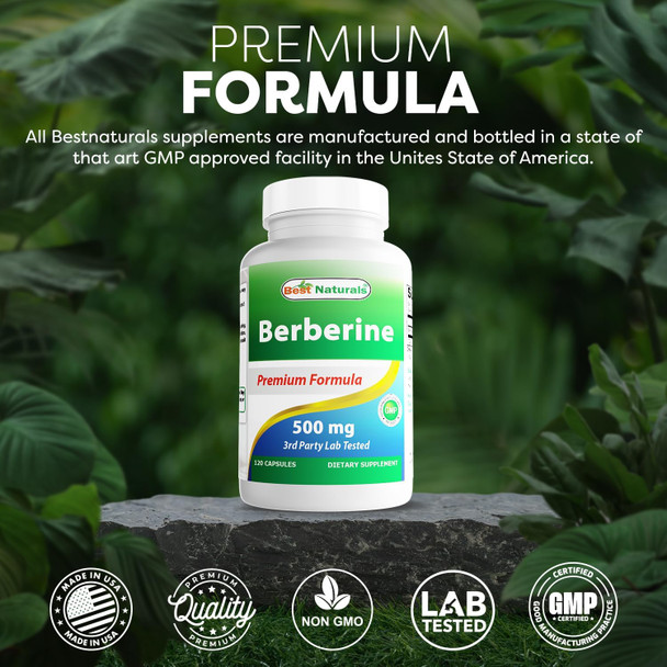 Best Naturals Berberine 500mg 120 Capsules - Supports Immune Function Cardiovascular & Gastrointestinal Function (120 Count (Pack of 1))