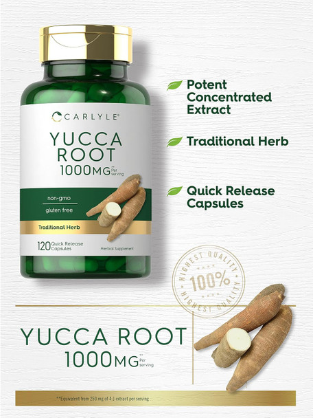 Carlyle Yucca Root Supplement 1000mg | 120 Capsules | Non GMO and Gluten Extract