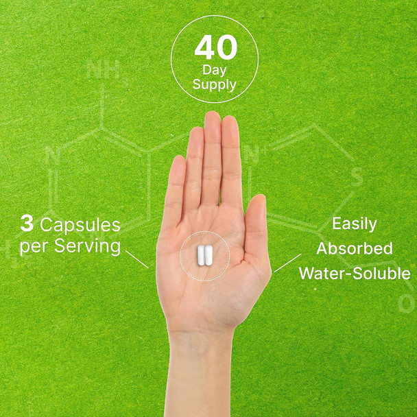 Deal Supplement Citicoline CDP Choline 1000mg Per Serving 120 Capsules – Extra Strength Choline Supplements – Nootropic B Vitamin Properties – Promotes Brain Health Memory & Focus – Non-GMO