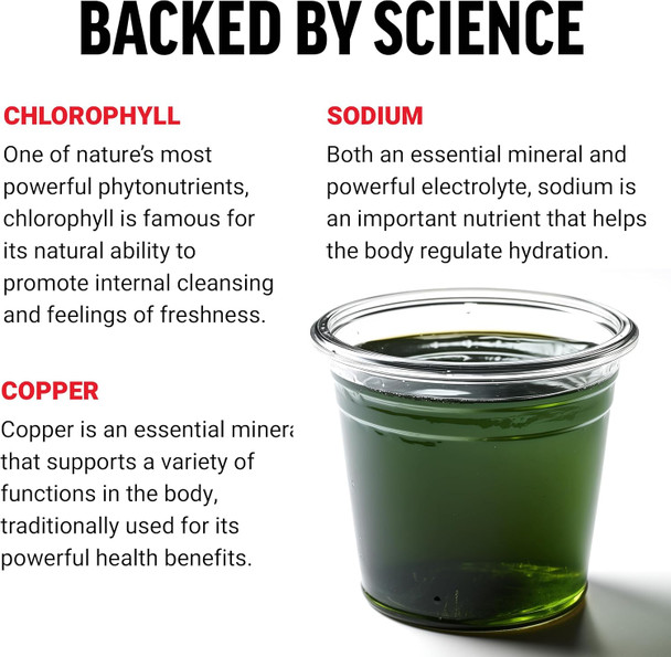 Force Factor Chlorophyll Liquid Body Deodorizing Supplement Freshens Breath and Body Naturally Made with No Artificial Sweeteners or Colors Non-GMO Natural Mint Flavor 16 oz.