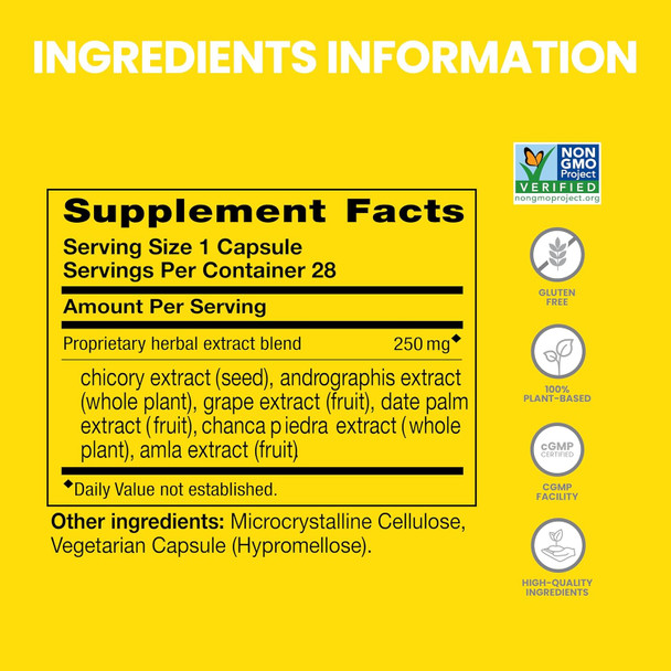 Himalaya PartySmart One Capsule for a Better Morning Plant-Based Liver Support for a Better Morning After Drinking Clinically Studied Non-GMO Project Verified 28 Capsule Larger Size