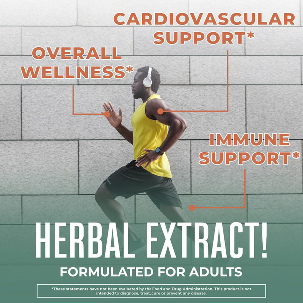 Maryruth Organics Astragalus Root Sugar USDA Organic Astragalus Extract for Immune Support Focus and Cardiovascular Support Astragalus Root Organic Liquid Drops Non-GMO Vegan 1 Fl Oz