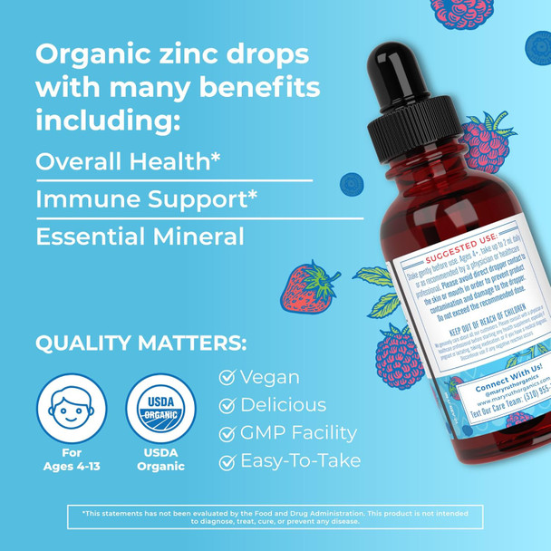 Maryruth Organics Zinc Supplements for Immune Support Liquid Zinc Supplement Immune Support Supplement for Kids Ages 4-13 Zinc Sulfate Vegan USDA Organic Glycerin Based 2 Fl Oz
