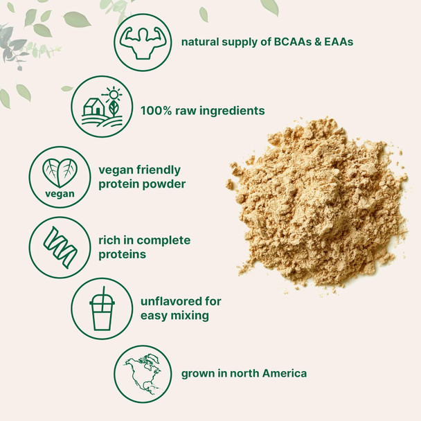 Micro Ingredients North American Grown Pea Protein Powder 5 Pounds | Plant Based Unflavored | Complete Vegan Protein Source – 27g Serving | Rich in BCAAs & EAAs | Non-GMO Keto Friendly