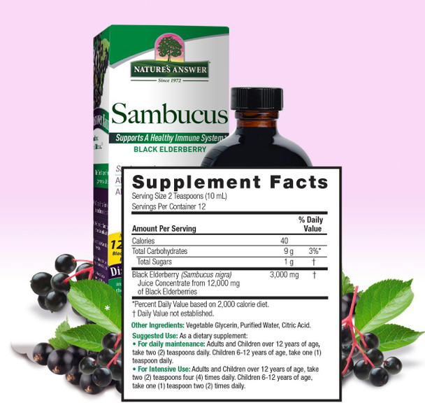 Nature'S Answer Alcohol- Sambucus Original 4oz Liquid | Daily Immune Support | Packed with Antioxidants | Family Friendly | Gluten- Vegan | Single Count