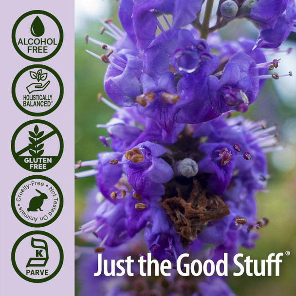 Nature'S Answer Alcohol- Vitex Berry 1-Fluid Ounce | Promotes Hormonal Balance | Ovulation Support | Menopausal Support