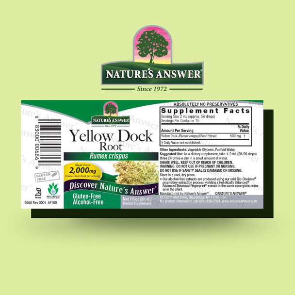 Nature'S Answer Alcohol- Yellow Dock Root 2000mg 1oz | Promotes Liver Function | Natural Body Detox | Bloating Relief | Gluten- Non-GMO Vegan | Single Count