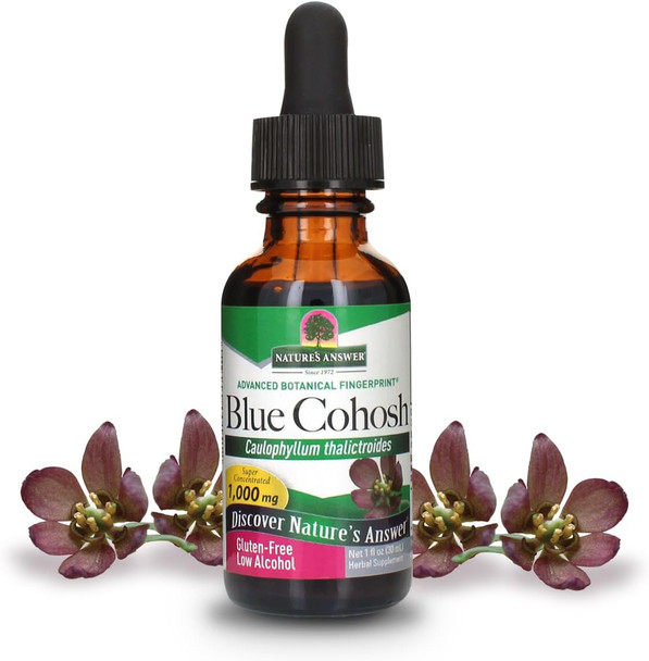 Nature'S Answer Blue Cohosh Root with Organic Alcohol 1-Fluid Ounce | Childbirth Support | Hot Flash Reliever Menopausal Aid | Women's Health Nature'S Answer Blue Cohosh Root with Organic Alcohol 1-Fluid Ounce | Childbirth Support | Hot Flash Reliever Menopausal Aid | Women's Health