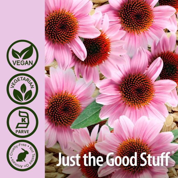 Nature'S Answer Echinacea & Astragalus | Supports a Healthy Immune System | Vegan Non-GMO & Kosher |Capsules 90Ct