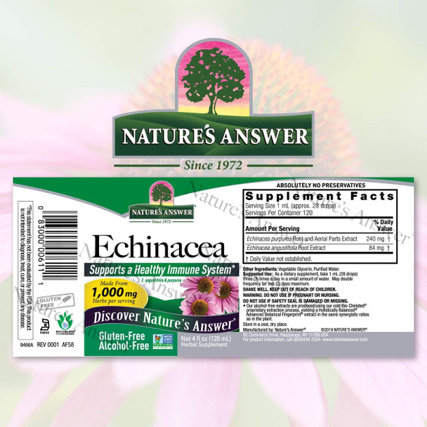 Nature'S Answer Echinacea | 4 oz. Supports a Healthy Immune System | Non-GMO | Alcohol- Gluten- Vegan Kosher & No Preservatives 4 fl oz