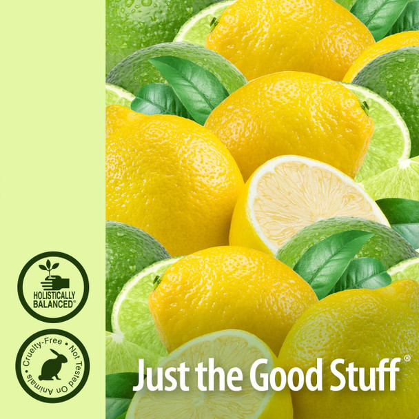 Nature'S Answer Fiber Drink 16oz Liquid | Lemon Lime Flavored | Supports Digestion | Gluten- Non-GMO Vegan No Artificial Flavors or Preservatives | Single Count