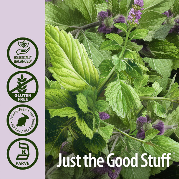Nature'S Answer Horehound Herb Drops with Organic Alcohol 1-Fluid Ounce | Respiratory Support | Promotes Healthy Lungs