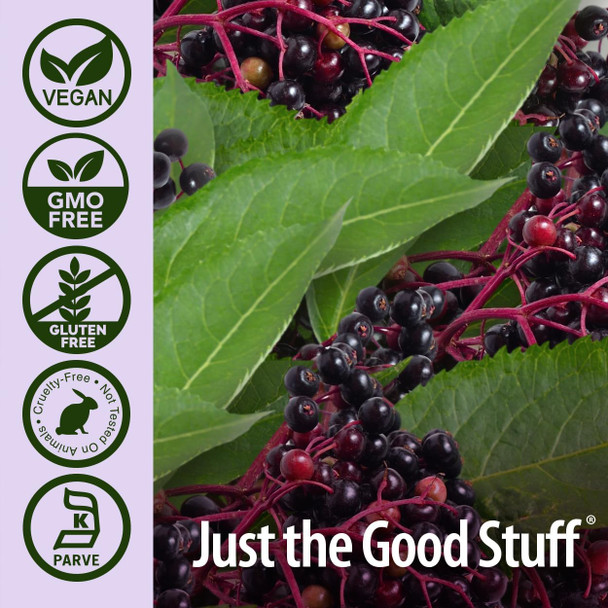 Nature'S Answer Sambucus Black Elder Berry Extract Syrup in Plastic Bottle Alcohol- 8-Fluid Ounces | Daily Immune Support | Packed with Antioxidants | Family Friendly | Flue Season Defender
