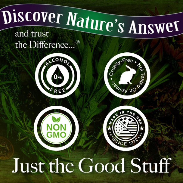 Nature'S Answer Sambucus Immune Travel Shot (12 Pack) Elderberry Shot on The Go. 2oz. Alcohol Non-GMO Sambucus Black Elderberry Airplane/Travel Shot