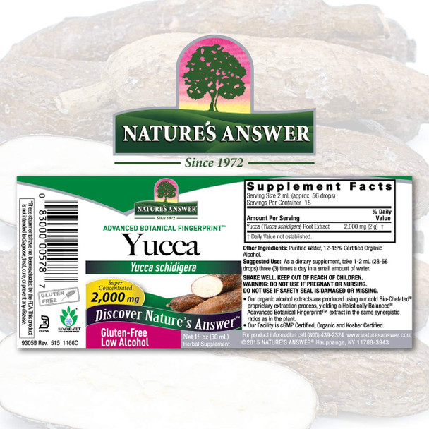 Nature's Answer Yucca Root Extract Supplement with Organic Alcohol 1-Fluid Ounce | Supports Immune Function | Promotes Wellness Nature's Answer Yucca Root Extract Supplement with Organic Alcohol 1-Fluid Ounce | Supports Immune Function | Promotes Wellness