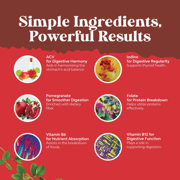 Natures Craft ACV Apple Cider Vinegar Gummies - Superfood Infused ACV Gummies Vitamins for Adults for Detox Cleanse Immune Support Digestion and Glowing Skin - Delicious Daily Energy Gummies with Vitamin B Complex Natures Craft ACV Apple Cider Vinegar Gummies - Superfood Infused ACV Gummies Vitamins for Adults for Detox Cleanse Immune Support Digestion and Glowing Skin - Delicious Daily Energy Gummies with Vitamin B Complex
