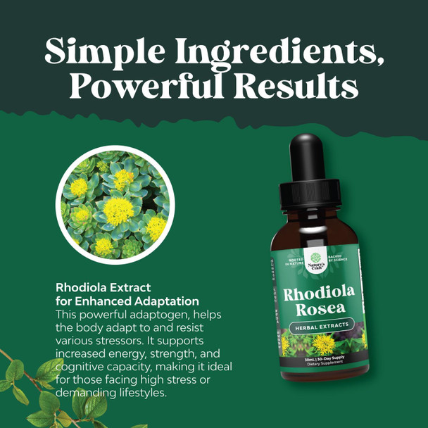 Natures Craft High Potency Rhodiola Rosea Tincture - Liquid Rhodiola Supplement for Stress Energy and Mood Support with 3% Salidrosides Rhodiola Rosea Extract - Vegan Non-GMO & Alcohol- (1 fl oz)