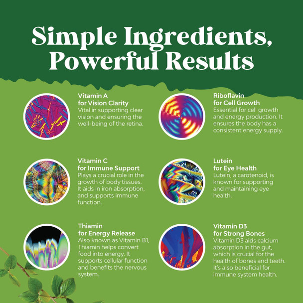 Natures Craft Liquid Multivitamin for Kids Immunity Support - Yummy Toddler Multivitamin Supplement with a C D3 E B6 and D3 Liquid Vitamins for Kids of All Ages - High Absorption Kids Liquid Multivitamin (2 Pack) Natures Craft Liquid Multivitamin for Kids Immunity Support - Yummy Toddler Multivitamin Supplement with a C D3 E B6 and D3 Liquid Vitamins for Kids of All Ages - High Absorption Kids Liquid Multivitamin (2 Pack)