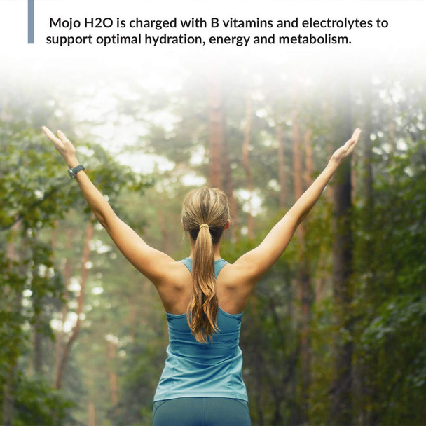 Biotrust Mojo H2O Natural Water Enhancer Drops B Vitamins And Electrolytes Sugar- Zero Calories Naturally Flavored & Sweetened (Strawberry Watermelon 4 Pk)