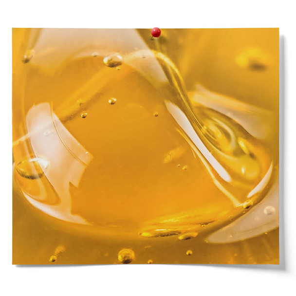 Fermentaholics Usda  Organic Honey (1-Pack)