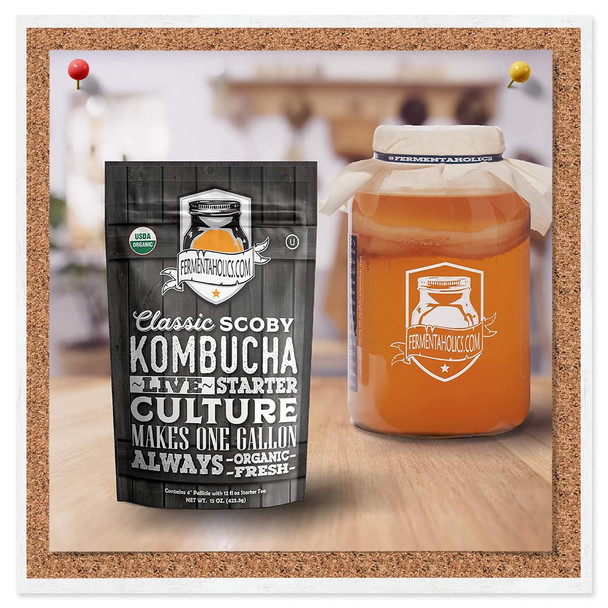 Fermentaholics Kombucha Scoby & Starter Tea | Live Fresh Organic Starter Culture | Diy Kombucha | 12Oz Fresh Starter Tea