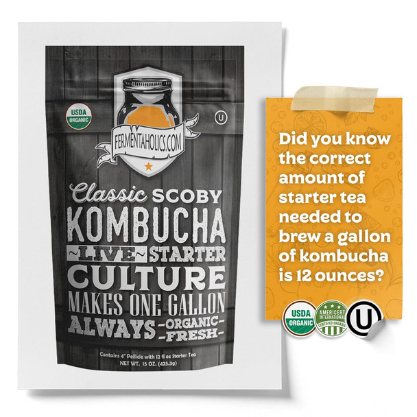 Fermentaholics Kombucha Scoby & Starter Tea | Live Fresh Organic Starter Culture | Diy Kombucha | 12Oz Fresh Starter Tea
