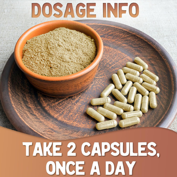 Xprs Nutra Organic Lions Mane Supplement Capsules - 180 Count (90 Day Supply) Of Premium Lion'S Mane Mushroom Capsules For Mental Clarity, Cognition And Immunity Lions Mane Powder Capsules