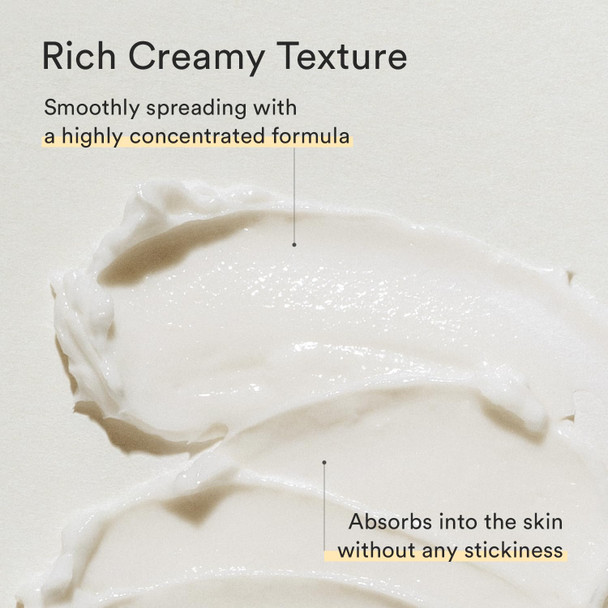 Abib Jericho Rose Creme Nutrition Tube 75Ml | Face Moisturizer, Daily Moisturizer Face Cream With Shea Butter For All Skin Types