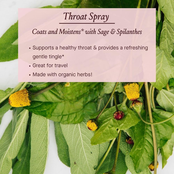 Urban Moonshine Throat Spray - Coats & Moistens* With Sage & Spilanthes - Provides Refreshing Gentle Tingle*- With Organic Herbs - Immune Support Supplement - Gluten Herbal Supplement - 1 Fl Oz Urban Moonshine Throat Spray - Coats & Moistens* With Sage & Spilanthes - Provides Refreshing Gentle Tingle*- With Organic Herbs - Immune Support Supplement - Gluten Herbal Supplement - 1 Fl Oz