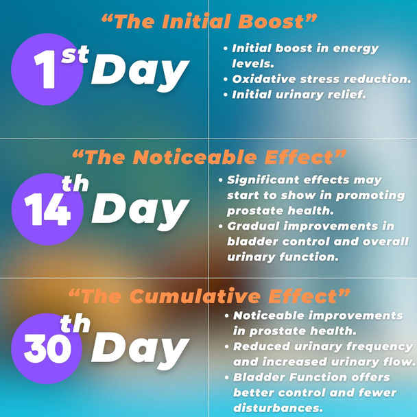 Prostate Support Supplement Formula With Saw Palmetto Extract And Bladder Control Complex - 30 Day Supply