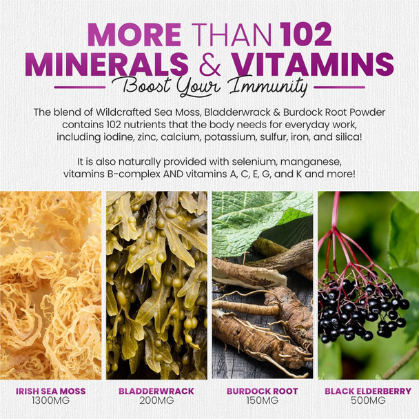 Sakoon Nutrition Irish Sea Moss Gummies W/Elderberry & Black Seed Oil - Beauty, Joints & Immune Support  Rich In Vitamins, Raspberry Flavor  60 Gummies