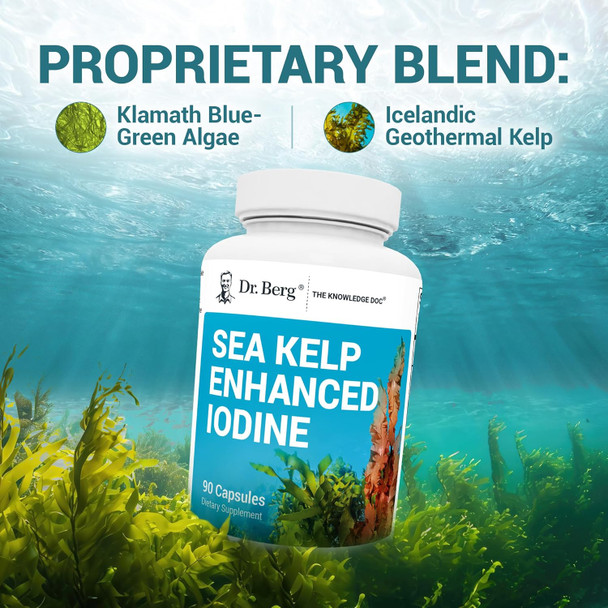 Dr. Berg Sea Kelp Enhanced Iodine - 200 Mcg Of Premium Iodine - Seaweed Blend Includes Klamath Blue-Green Algae & Sea Kelp - 90 Capsules