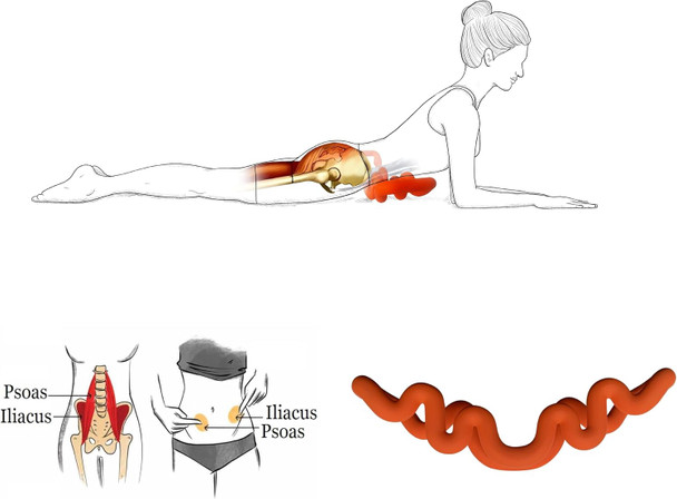 Back Deep Tissue Massager, Back Stretcher, Relieve Low Back Pain, Middle Back Pain And Sciatica, Athletes Muscle Recovery Tool