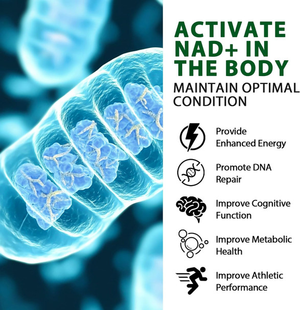 Liposomal Nad Supplement, Aging Defense, Brain Function, Highest Nad Pontecy, Energy And Dna Repair- Focusing On Healthy Metabolism And Vitality, 120 Capsules