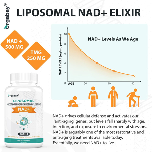 Liposomal Nad+ Supplement 500 Mg, High Absorption, Boost Nad+ With Tmg 250 Mg, Actual Nad Plus More Efficient Than Nicotinamide Riboside, Support Cellular Energy, Healthy Aging  60 Softgels
