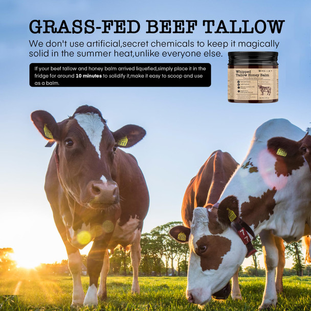 Beef Tallow And Honey Balm For Skin : Grass Fed Whipped Beef Tallow With Honey Face Body Moisturizer 2Oz - Organic Unscented Fast Absorption Tallow Cream Infused With Manuka Honey Beeswax Olive Oil