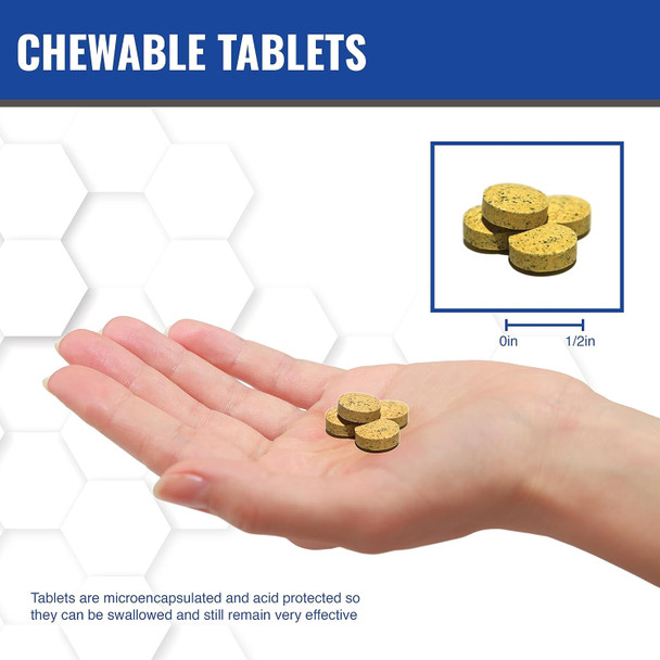 Maac10 Nadh + Coq10 Supplement  Great Tasting Chewable Tablets  50Mg Panmol® Nadh + 100Mg Coq10  For Fatigue, Energy And Mental Focus  Nad+ Supplement (60 Tablets 2 Per Serving).