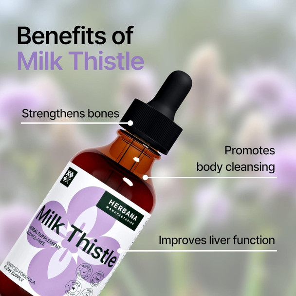 Milk Thistle 2 Fl Oz Liquid Extract - Natural Liver Support Drops - Cleanse And Detox Herbal Supplement - Silybum Marianum Tincture For Man & Woman - Family Size - High Potency - 45-Day Supply