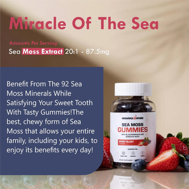 Organics Nature Irish Sea Moss Gummies For Lung Detox, Thyroid, Strength Immune & Energy Support, Vegan Seamoss Gummies For Kids & Adults - 60 Vegan Gummy Bears Berry Flavored