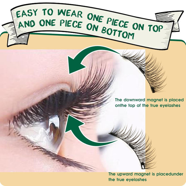 Magnetic Eyelashes 1 Pair Eyelashes Magnetic Lashes Nature Look Reusable Magnetic Eyelashes With Applicator No Glue Needed Magnetic Lashes Easy To Wear And Remove(Yc05)