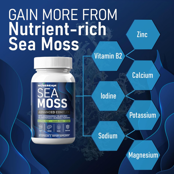 Irish Sea Moss 6000Mg - 2000Mg Black Seed Oil Ashwagandha Burdock Root Ginger Capsules - Advanced Seamoss Vitamin Multi Mineral Complex Supplement Pills For Men Women