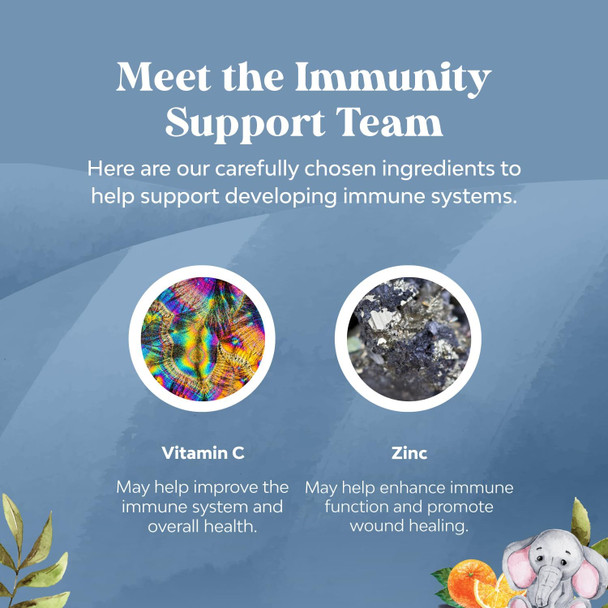 Kids Immunity Support Gummies - Delicious Vitamin C With Zinc And Echinacea Immune Booster Gummies For Kids - Vegan Gluten And Gelatin Chewable Gummy Vitamin Supplement For Children