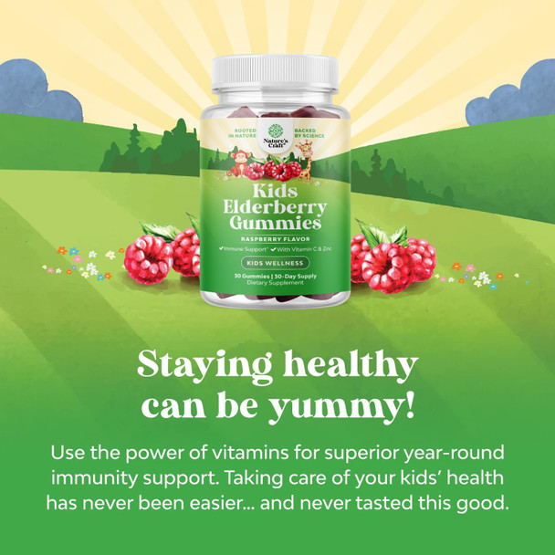 Kids Elderberry Gummies With Zinc And Vitamin C - Delicious Sambucus Black Elderberry Gummies For Kids Immune Support - Daily Kids Immunity Support Gummies Vegan Non-Gmo Gluten And Gelatin Free