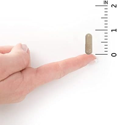 Garden Of Life Raw Vitamin Code Vitamin C, 120 Vegan Capsules, 500Mg Whole Food Vitamin C Supplements With Bioflavonoids, Fruits & Veggies, Probiotics, Gluten For Adults